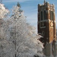 A group of tenure and tenure-track faculty members at Michigan State University are seeking union recognition from the Board of Trustees.